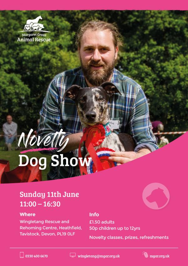 Novelty Dog Show (Devon)